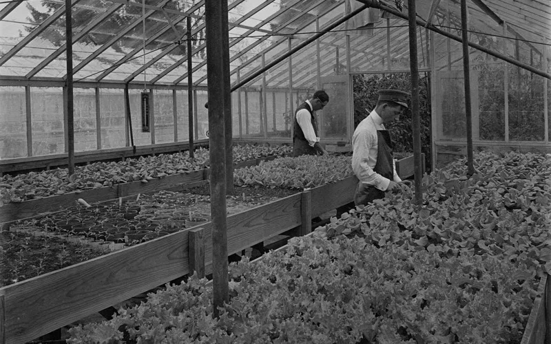 Agevolazioni Fiscali per Giovani Agricoltori: cosa prevede la normativa