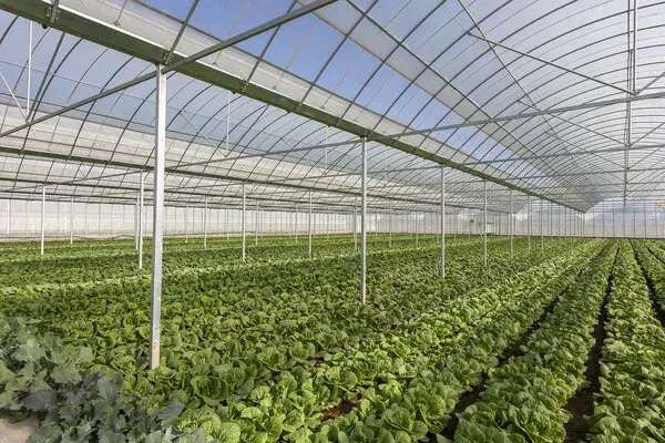 Documenti e calcolo della busta paga per la liquidazione del TFR di un dipendente agricolo